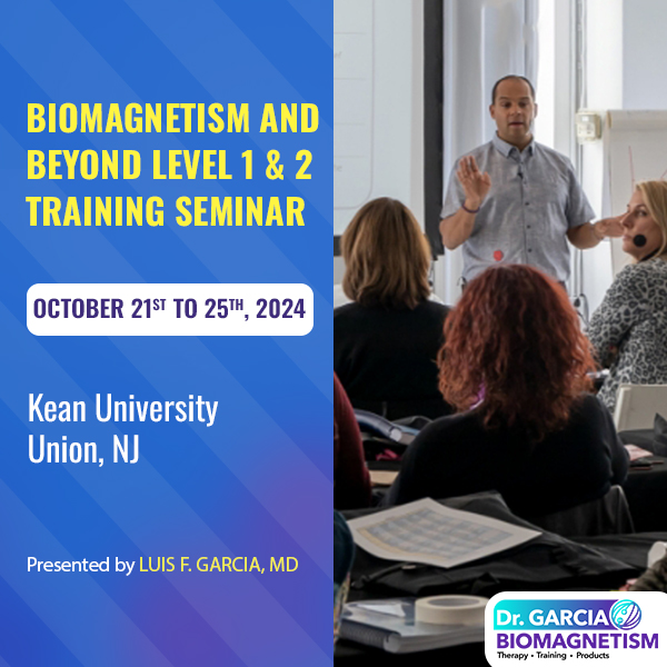 Biomagnetism Seminar Oct 2024