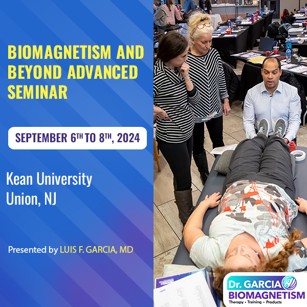 Biomagnetism Seminar Sep 2024